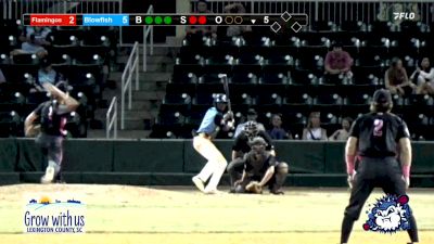 Replay: Flamingos vs Blowfish - DH | Jul 31 @ 7 PM