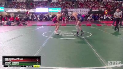 A - 205 lbs Quarterfinal - Derrick Saltzman, Hamilton vs Jaiden Gibson, Custer Co. (Miles City)