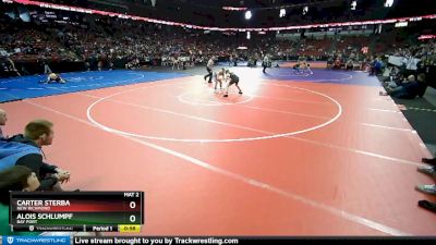 D1-113 lbs Cons. Semi - Alois Schlumpf, Bay Port vs Carter Sterba, New Richmond