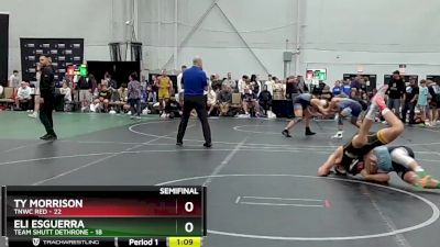 157 lbs Semis (4 Team) - Eli Esguerra, Team Shutt Dethrone vs TY Morrison, TNWC Red