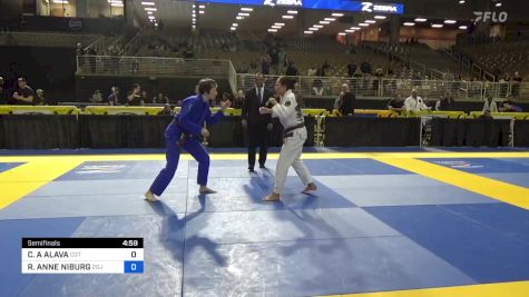 CATHERINE A ALAVA vs REBECCA ANNE NIBURG 2024 Pan Jiu Jitsu IBJJF Championship