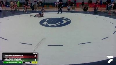 63 lbs Round 3 - Aria THEPHAVONG, Blackman Freestyle And Greco vs Ava Westenbarger, Blackman Freestyle And Greco