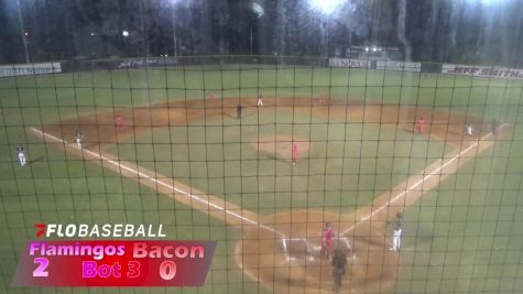 Replay: Flamingos vs Macon Bacon - DH | Jul 24 @ 8 PM