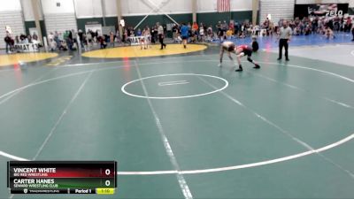 110 lbs Round 2 - Vincent White, Big Red Wrestling vs Carter Hanes, Seward Wrestling Club