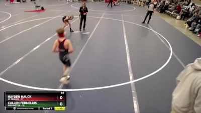 84 lbs Finals (8 Team) - Hayden Hauck, St. Francis vs Cullen Fernelius, Farmington