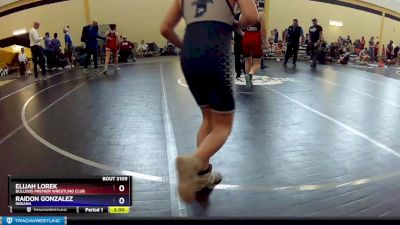 108 lbs Quarterfinal - Elijah Lorek, Bulldog Premier Wrestling Club vs Raidon Gonzalez, Indiana