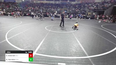 43 lbs Quarterfinal - Damon Sidoriak, Salina Wrestling Club vs Alexander Herndon, Rebellion