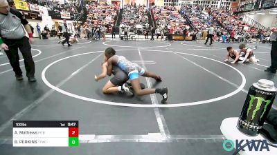 100 lbs Final - Artemus Mathews, Pitbull Wrestling Academy vs BRODERICK PERKINS, Team Tulsa Wrestling Club