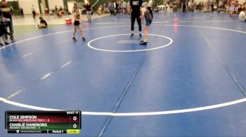 77 lbs Placement Matches (8 Team) - Cole Simpson, Black Fox Wrestling Team 1 vs Charlie Haneborg, Midwest Destroyers