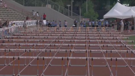 High School Boys' 110m Hurdles 4A