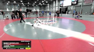 67 lbs Champ. Round 2 - Quincy Nanquilada, Mat Demon WC vs Gabriel Mann, Lionheart WC