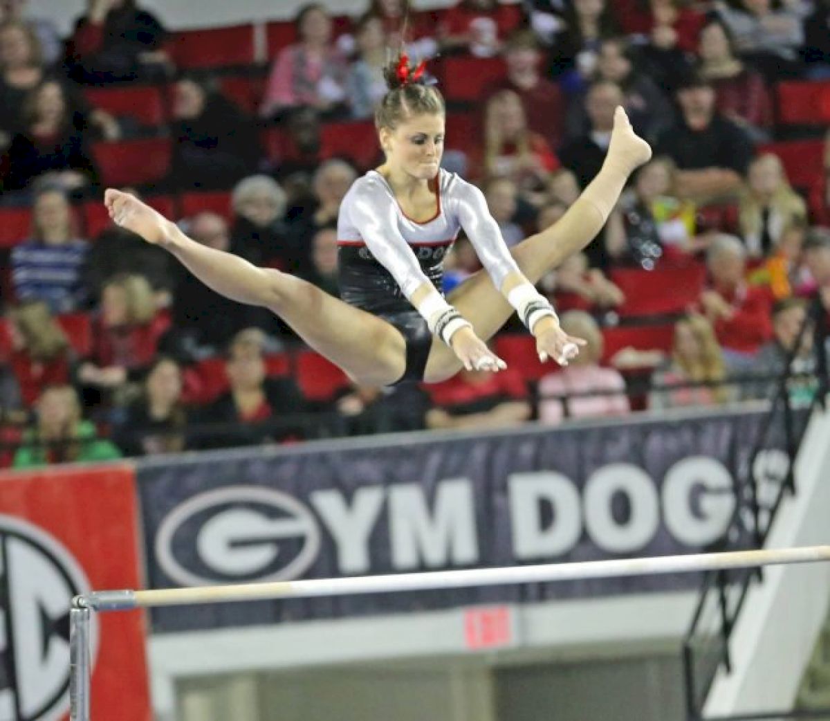 2007 World Team  To Be Inducted USA Gymnstics Hall of Fame