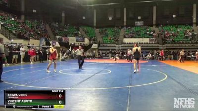 132 lbs Semifinal - Vincent Aspito, Hoover vs Kiowa Vines, Thompson