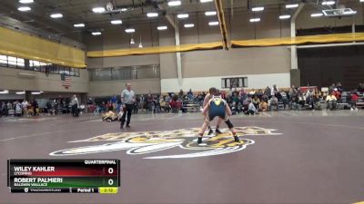 141 lbs Quarterfinal - Wiley Kahler, Lycoming vs Robert Palmieri, Baldwin Wallace