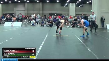 125 lbs Quarters & 1st Wb (16 Team) - Zac Blasioli, Millikin vs Tyler Klein, Wisconsin-Whitewater