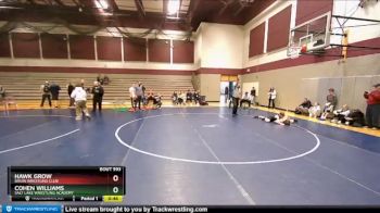 117 lbs Cons. Semi - Hawk Grow, Bruin Wrestling Club vs Cohen Williams, Salt Lake Wrestling Academy