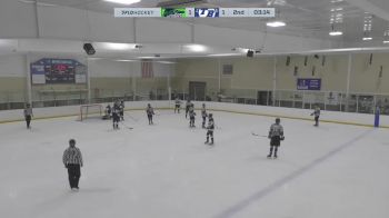 Replay: Home - 2024 FL Jr. Blades vs TB Juniors | Mar 9 @ 12 PM