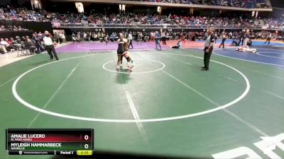 5A 138 lbs Cons. Round 3 - Amalie Lucero, El Paso Hanks vs Myleigh Hammarbeck, Amarillo