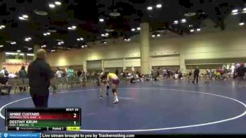 120 lbs Semis & Wb (16 Team) - Destiny Krum, Iowa T-Wrecks vs Ambie Custard, Nebraska Tidal Wave