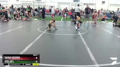 44 lbs Round 1 (6 Team) - Mason DeFebbo, Team West Virginia Gold vs Ezra Hill, 84 Athletes