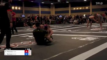 Drew Palomo vs Joseph Watson 2024 ADCC North American Trials 2