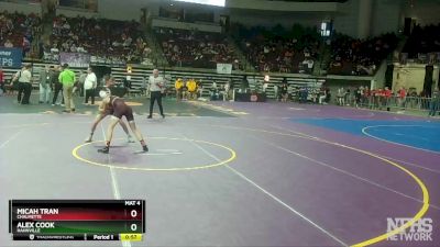 D 1 106 lbs Cons. Round 3 - Micah Tran, Chalmette vs Alex Cook, Hahnville