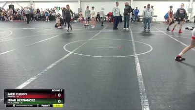 105 lbs Round 5 (8 Team) - Noah Hernandez, PA Alliance vs Jack Cherry, Kraken