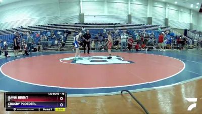 78 lbs Round 4 - Gavin Brent, MI vs Crosby Ploederl, WI