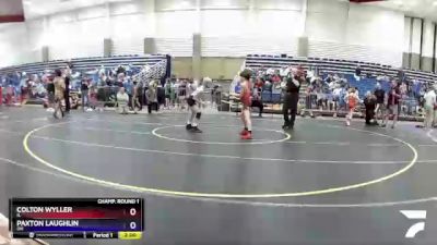 87 lbs Champ. Round 1 - Colton Wyller, IL vs Paxton Laughlin, OH