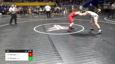 120 lbs Round Of 16 - Allen Metzger, Biglerville vs Cooper Gergely, Penn Cambria