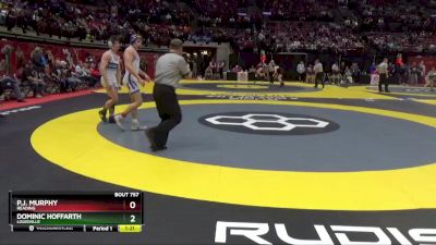 D2-150 lbs Quarterfinal - Dominic Hoffarth, Louisville vs P.J. Murphy, Reading