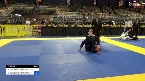 HELEY TADDESE ASCHAUER vs RUTH WILLRICH THIEME 2024 Pan Jiu Jitsu IBJJF Championship