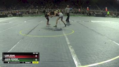 D2-120 lbs 5th Place Match - Luke Egan, Cedar Springs HS vs Jason Downs, Huron HS - New Boston