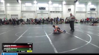 80 lbs Finals (2 Team) - Michael Santoro, Medina vs Kagan Painter, Rambler