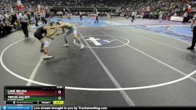 5th Place Match - Trevis Halsey, Elkhorn Valley vs Lane Belina, Howells-Dodge