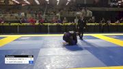 WILLIAM BRADLEY SMITH vs ROMAN KARTOFELNIKOVS 2024 Pan Jiu Jitsu IBJJF Championship