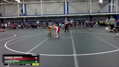 110 lbs Round 3 (8 Team) - Gannon Beach, PA Alliance vs Massimo Perentin, Ruthless WC