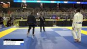 BRIAN THOMAS BIRCH vs ADAM JOHN SEARLE 2024 Pan Jiu Jitsu IBJJF Championship