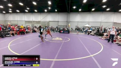 132 lbs Placement Matches (8 Team) - Jarvis Little, Tennessee vs Emanuel Cater, Washington