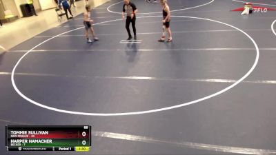 88 lbs Round 3 (4 Team) - Harper Hamacher, Becker vs Tommie Sullivan, New Prague