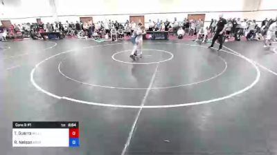 55 kg Cons 8 #1 - Troy Guerra, Bulls Wrestling Club vs Reid Nelson, Arkansas RTC