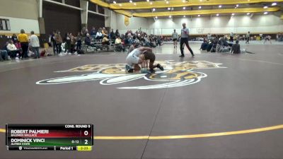 141 lbs Cons. Round 5 - Dominick Vinci, Alfred State vs Robert Palmieri, Baldwin Wallace