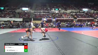 123 lbs Champ. Round 3 - Wade Williams, American Falls High School Wre vs Carson Propp, Sidney Wrestling Club