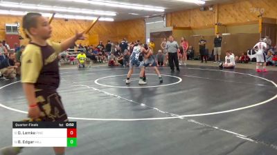 98 lbs Quarterfinal - Dalen Lemke, Pine Grove vs Blake Edgar, Millville