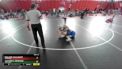 132 lbs Quarterfinal - Maverick Arneson, Wisconsin vs Walker Gaulrapp, Minnesota