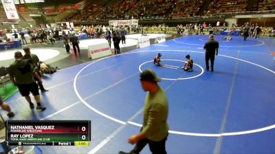 49 lbs Semifinal - Nathaniel Vasquez, Powerline Wrestling vs Ray Lopez, Total Kaos Wrestling Club