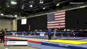 Nikita Mittal - Tumbling, Springtime T&T - 2021 USA Gymnastics Championships