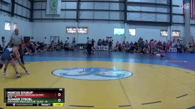 95 lbs Placement (4 Team) - Gunner Strobl, DARKHORSE WRESTLING CLUB - BLACK vs Marcus Soukup, NORTH CAROLINA WRESTLING FACTORY - BLUE