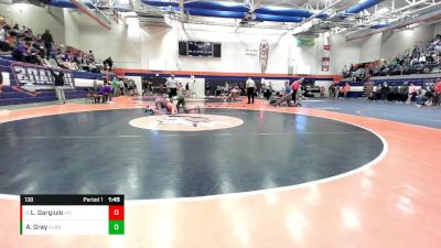 138 lbs Cons. Round 4 - Logan Gargiulo, Illinois Valley Central vs Ashton Gray, Evergreen Park