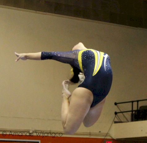 Michigan Wins Close Meet at Illinois